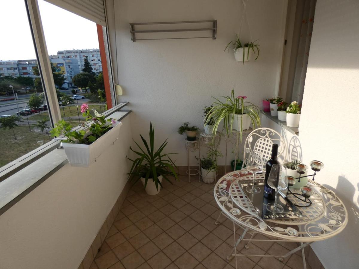 Appartement Bingo *